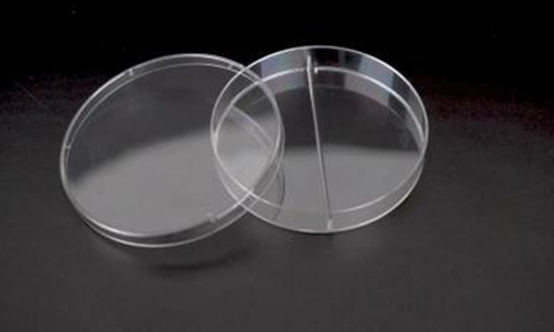 Petri Dish with two compart1